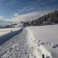 Winterwanderweg vor der Haustür