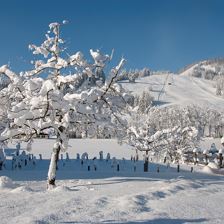 Das Glaagut - Ausblick auf die Skipiste