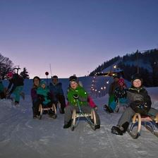 Rodelbahn Hoametzl-Hütte