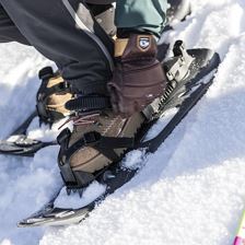 Schneeschuhwandern (c) Mirja Geh (4)