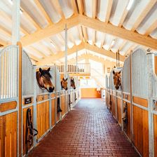 Oberhabach_Reiten_6792