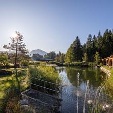 Hotel Jagdschlössl - Badeteich