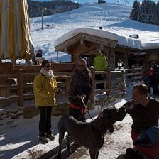 Müllneralm, Oberndorf in Tirol