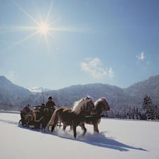 28 Kutschenfahrt Winter