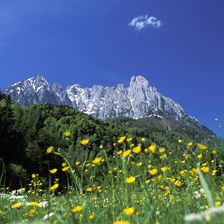 30-Blick von Kirchdorf auf Wilder Kaiser