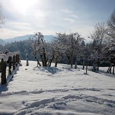 Oberbürghof St. Johann in Tirol