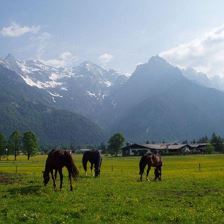 Stimmung ums Haus im Herbst