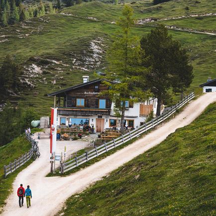 Buchackeralm - BlackAngus Alm