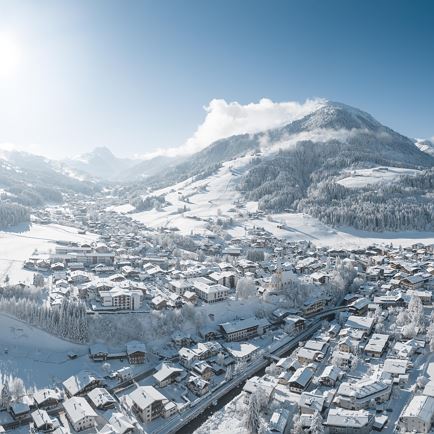 Toboggan Run on the Gaisberg