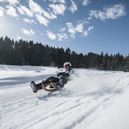Timoks Naturrodelbahn