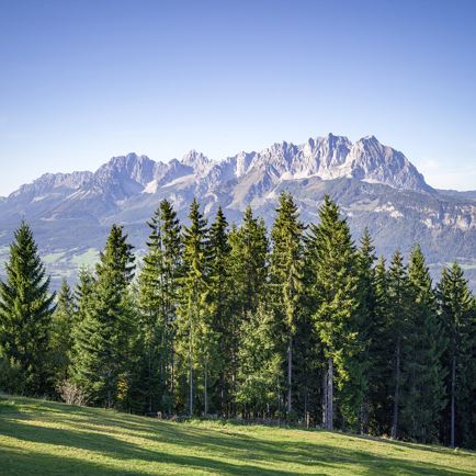 Meadow Hike Angerer Alm