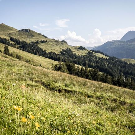 Schwarzkogel_Kitzbüheler Alpen - Brixental_Mathäus Gartner_FULL02.jpg