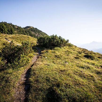 Auf dem Weg zur Kobinger Hütte_Kirchberg_Kitzbüheler Alpen_Mathäus Gartner (2018)_FULL19.jpg