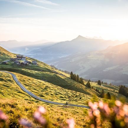 Gaisberg Joch