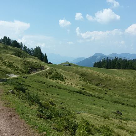 Griessener Alm Runde - Grießener Almen