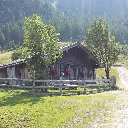 Griessener Almen Runde - Huberalm