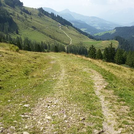 Griessener Almen Runde - Weg zur Aiblalm