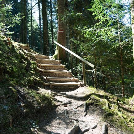 G'sundheitsbründlweg