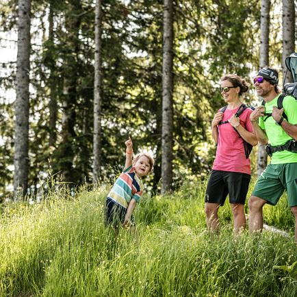 Harschbichl Hiking Loop