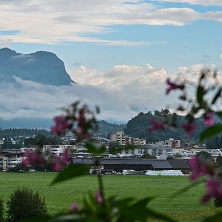 Rundwanderung Möslalm-Pfaffenberg-Bruckhäusl