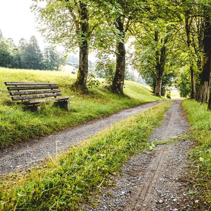 Runningtrail Brixen