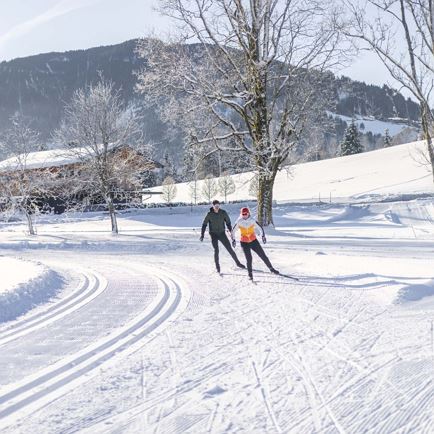 Connecting trail to the Niederau