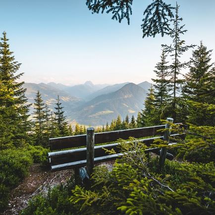 Wanderweg_Rauher Kopf_Kitzbüheler Alpen-Brixental_Mathäus Gartner (2019)_FULL11.jpg