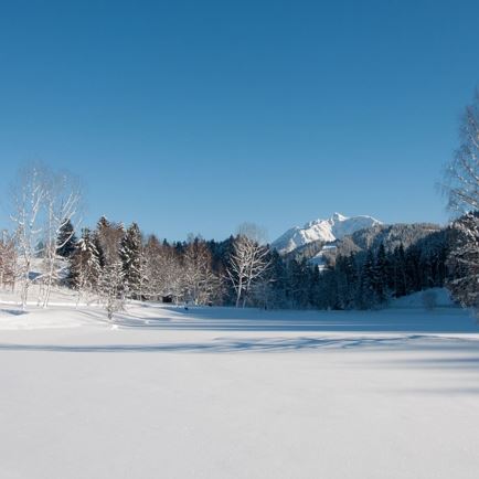 Winter hiking 32 Lauchseerunde
