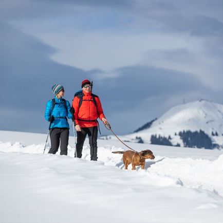 Winter Hike in the surroundings of Kirchberg