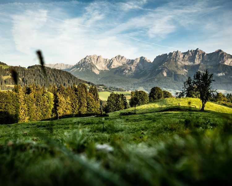 Region St Johann In Tirol Kitzbuheler Alpen