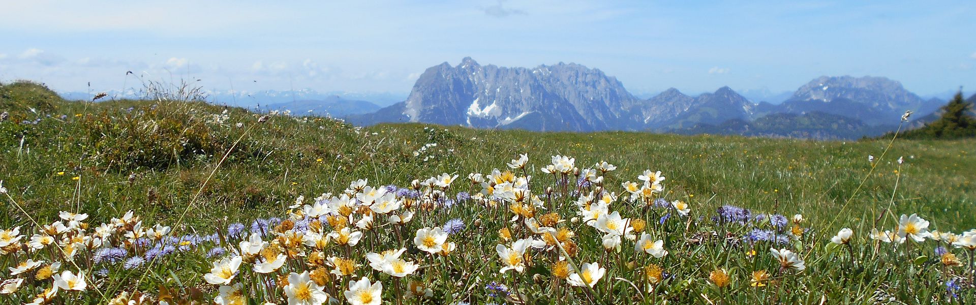 Steinplatte Fellhorn Straubingerhaus © Petra Astner (10)