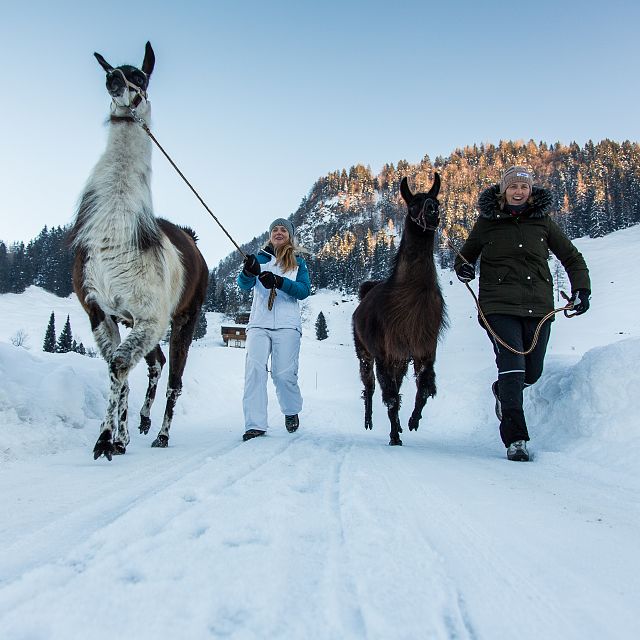 Hochkarätige Nebenschauplätze