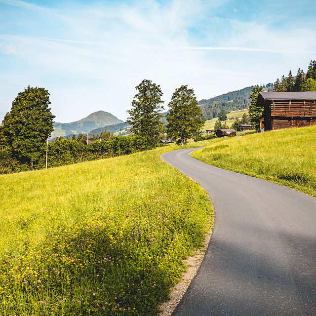 Brixental Horn_Kitzbüheler Alpen-Brixental_Lisa Lederer (2019)_LIGHT