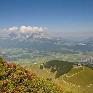 /media/gridteaser/ausblick-kitzbueheler-horn-region-st.-johann-in-tirol.webp