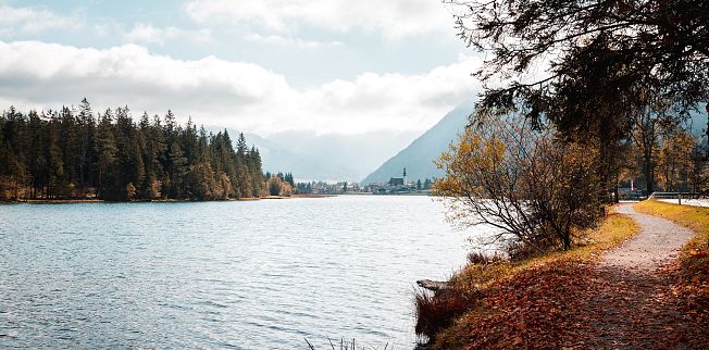 /media/gridteaser/herbst-landschaft-stefan-ringler-36.webp