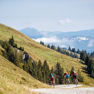 /media/gridteaser/kat-bike-kitzbueheler-alpen-mountainbiker-am-weg-zum-wiegalmtrail-etappe-3-c-e-haiden-1-3.webp