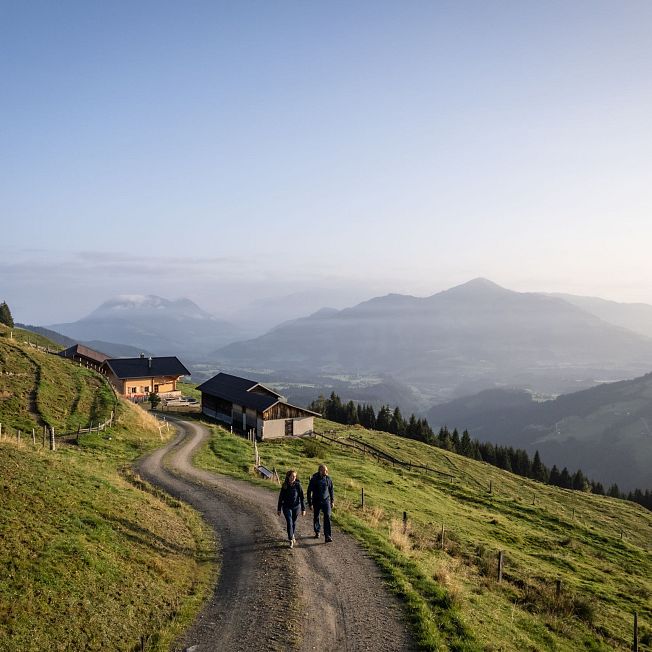 /media/gridteaser/kat-walk-hohe-salve-kitzbueheler-alpen-1.webp