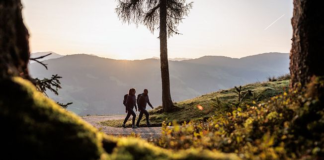 /media/gridteaser/kat-walk-hohe-salve-wandern-mit-freunden-in-den-kitzbueheler-alpen-3.webp