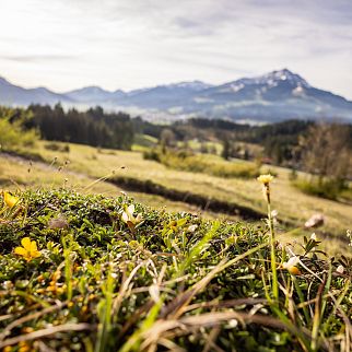 /media/gridteaser/landschaftsbild-st.-johann-in-tirol.webp