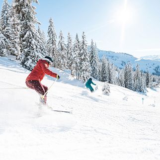 /media/gridteaser/skiwelt-wilder-kaiser-brixental-63-3.webp