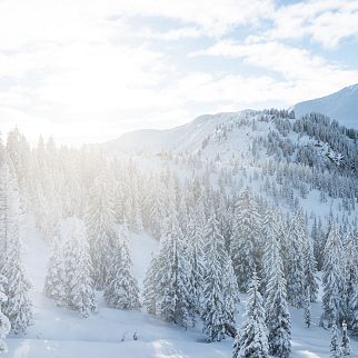 /media/gridteaser/skiwelt-wilder-kaiser-brixental-9.webp