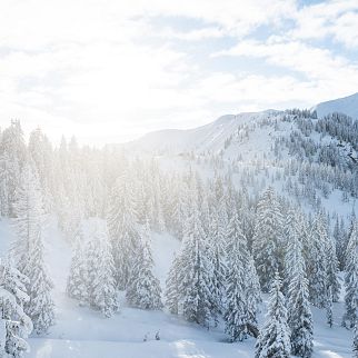 /media/gridteaser/skiwelt-wilder-kaiser-brixental-9-5.webp