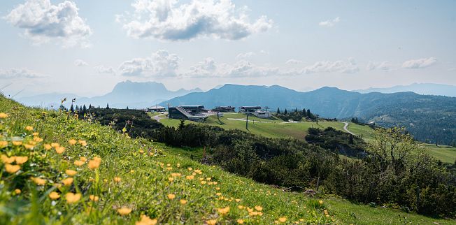 /media/gridteaser/steinplatte-waidring-sommer-ringler-stefan-8.webp