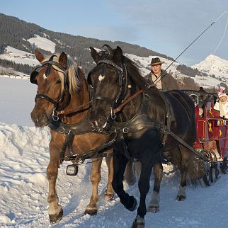 /media/gridteaser/tvb-brixental-winter-pferdeschlittenfahrt-1-3.webp