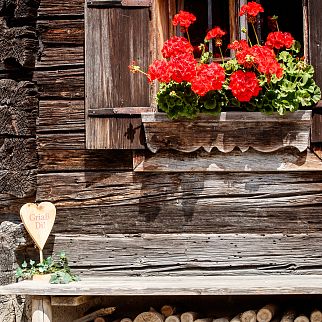 /media/gridteaser/uriges-almgebaeude-3.webp