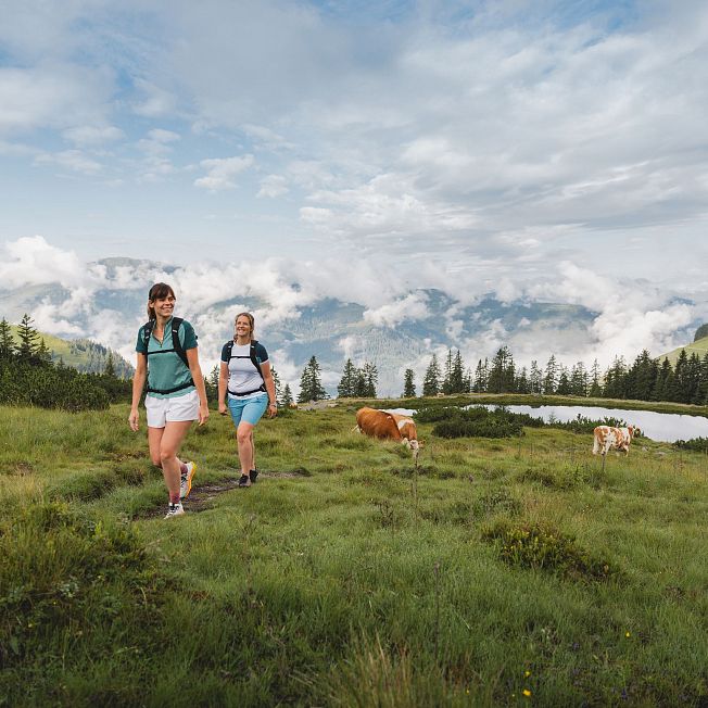 /media/gridteaser/wandern-im-brixental-c-tvb-kitzbueheler-alpen-brixental-fotograf-mathaeus-gartner-12.webp