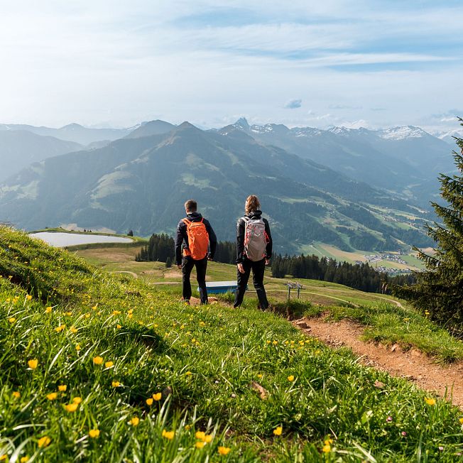 /media/gridteaser/wandern-in-der-region-hohe-salve-hopfgarten-11-7.webp