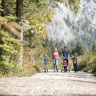 /media/gridteaser/wanderweg-moor-more-region-st.-johann-in-tirol-foto-defrancesco.webp