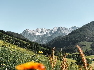 Alle informatie over de opening van de zomer in de bergen