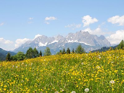 Frühlingsmomente im PillerseeTal